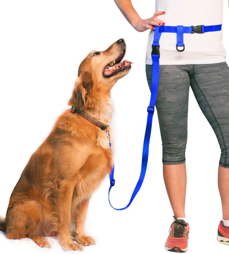 Hands Free Dog Leash, Adjustable Leash for Running, Jogging, Training and Service Dogs, Great for Small, Medium and Large Dogs, Made in USA (Royal Blue, Large Belt (27" - 50" Waist)) - Nates great stuffNates great stuff