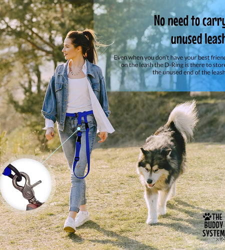 Hands Free Dog Leash, Adjustable Leash for Running, Jogging, Training and Service Dogs, Great for Small, Medium and Large Dogs, Made in USA (Royal Blue, Large Belt (27" - 50" Waist)) - Nates great stuffNates great stuff