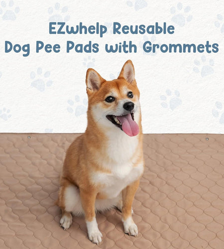 Reusable Dog Pee Pads - Dogs Waterproof Training Pads - Washable & Sanitary - Rounded Corners - Laminated, Lightweight, Durable - Pet Essentials Puppy Training, Whelping - 60" X 60" - Nates great stuffNates great stuff